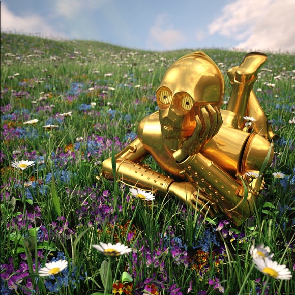 Meet your Posher, Lauren - Picture 1 of 1